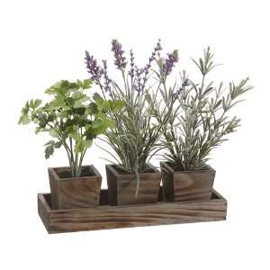   in Wood Planter x3 w/Tray Green Lavender (Pack of 4)