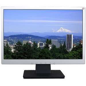    19 A190A2 G08 DVI Widescreen LCD Monitor (Silver) Electronics