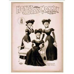  Theater Poster (M), Hoyts comic whirlwind A brass monkey a satire 
