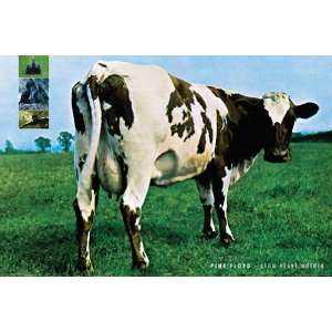  PINK FLOYD ATOM HEART MOTHER WALL POSTER