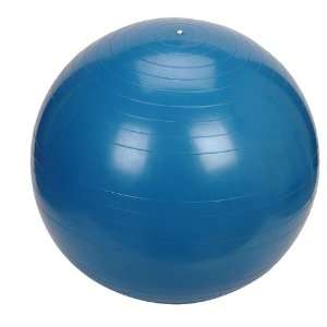 Gym Exercise Fitness Ball 65cm (Anti Burst) with Dual Action Hand Pump 