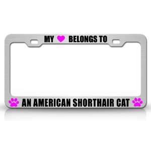  MY HEART BELONGS TO AN AMERICAN SHORTHAIR Cat Pet Steel Metal 