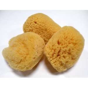  3pcs/Set 100% Natural Sea Sponge Facial Puff,Soft and Deep 