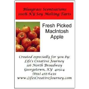  Handmade 100% KY Soy Melting Tarts  Fresh Picked Macintosh 