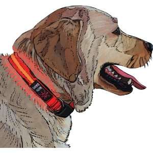  Lighted Dog Collar   Nite Dawg Collar   Red L Pet 