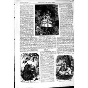 1864 STORY HACCO DWARF MAUD GRANVILLE BEAR CHILD ROCKS  