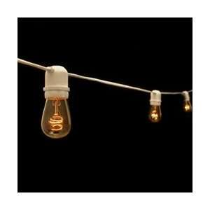  Commercial Grade String Lights, 24 Clear Glass Sign Bulbs 