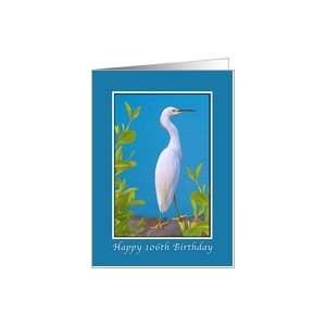  Birthday, 106th, Snowy Egret Bird Card Toys & Games