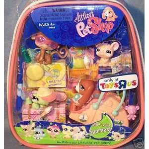   Pack with Carrying Case (Monkey, Dog, Mouse, Turtle) Toys & Games