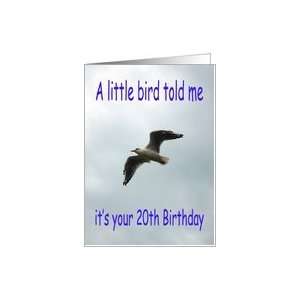  Happy 20th Birthday Flying Seagull bird Card Toys & Games