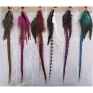  12 Feather Hair Extension 4848, 12 piece pack Beauty