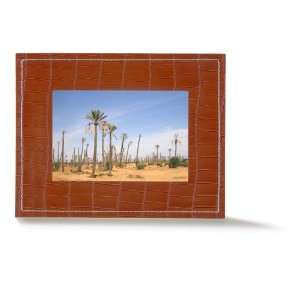  Parrot 7 Inch Digital Photo Frame (Sunset Salamander 