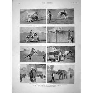  1893 TRAVELLING CIRCUS ELEPHANTS HORSE PARALLEL BARS