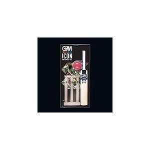  GM Mini Cricket Set