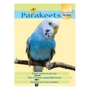  Practical Parakeet Pet Care