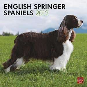  2012 English Springer Spaniels Calendar