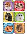 18 HAMSTER Stickers Scrapbook Favors   FREE SHIP