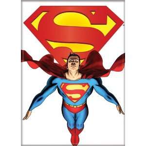  DC Comics Superman Flying White Background Magnet 20306DC 