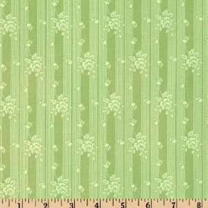  44 Wide Passionately Pink Rose Stripe Olive Fabric By 
