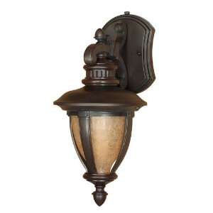  Nuvo Lighting 60/2517 Old Penny Bronze Galeon Traditional 