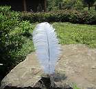   100pcs WHITE pretty Ostrich Feathers 30 35cm/12 14i​nches Long