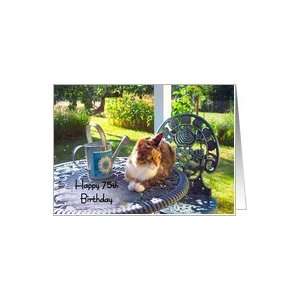   75th Birthday, calico cat on porch, garden view Card Toys & Games