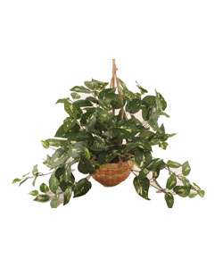 Forever Silk Assorted Foliage Hanging Plant  
