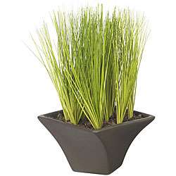 Potted Silk Grass in Black Vase  