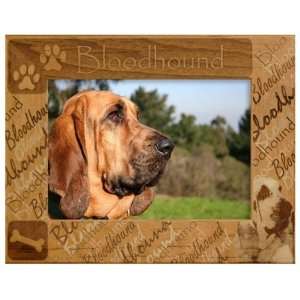  Bloodhound 5 X 7 Engraved Alderwood Picture Frame #0235 