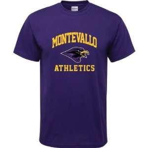 Montevallo Falcons Purple Youth Athletics Arch T Shirt  