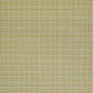 203194s Green by Greenhouse Design Fabric