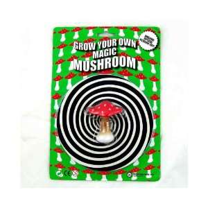  Grow Your Own Magic Mushroom
