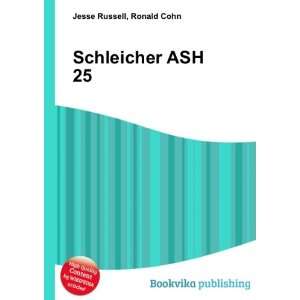  Schleicher ASH 25 Ronald Cohn Jesse Russell Books