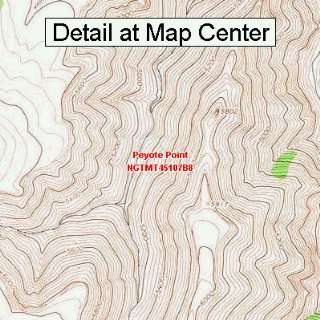  USGS Topographic Quadrangle Map   Peyote Point, Montana 