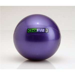    WEB6 6lb Soft Weighted Toning Ball (Ball and Poster)