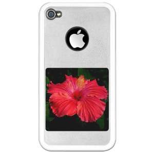  iPhone 4 or 4S Clear Case White Red Hibiscus Bloom 