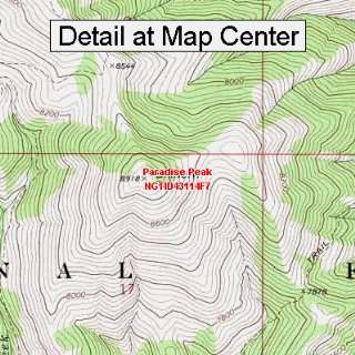USGS Topographic Quadrangle Map   Paradise Peak, Idaho (Folded 
