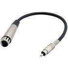 Pyle   12 Gauge 1Ft RCA Male To 3 Pin XLR Female Audio Cable