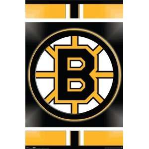 Boston Bruins Logo Poster 