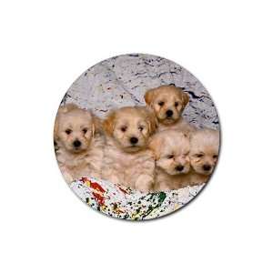  Cute puppy litter Round Rubber Coaster set 4 pack Great 