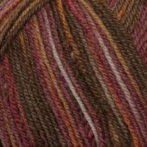   Ply Sock Yarn (4353) Mirage Canyon By The Each Arts, Crafts & Sewing