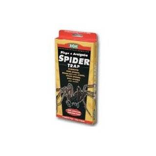 Biocare Non toxic Spider & Silverfish Trap   6 Traps