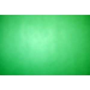   Poster Board 22X22 Emerald Green Case Pack 50   717279 Electronics