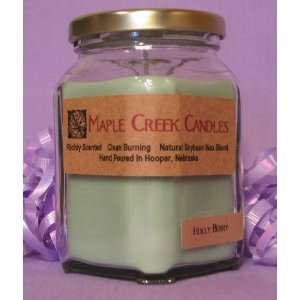  Candles APPLE CINNAMON ~ Spice Up Your Day ~ Soy Wax Blend 13oz candle