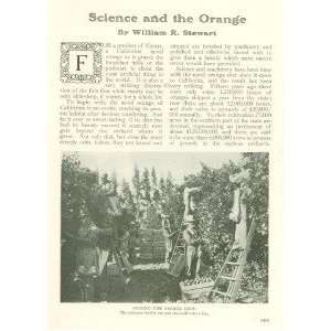  1907 Science Navel Orange Growing in California 
