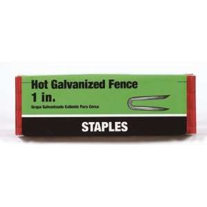  Bx/1# x 6 Ace Fence Staple (52927)