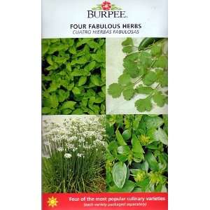  Burpee 4 Fabulous Herbs   Cilantro/Basil/Chives/Oregano 