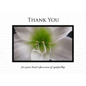  Sympathy Thank You Note Card   White Amaryllis Health 