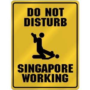  New  Do Not Disturb  Singapore Working  Singapore 