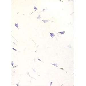  Background Cards Bluebell Petal